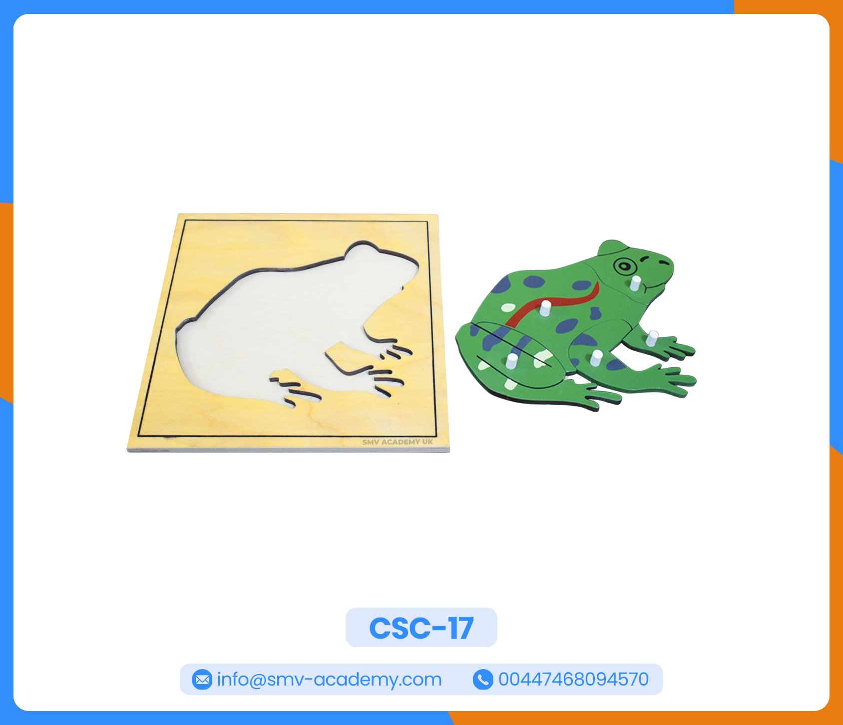 بازل أجزاء الضفدع